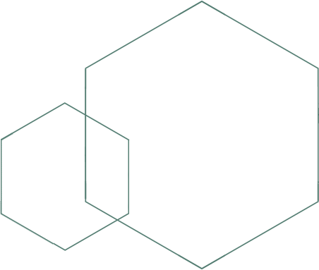 hexagon outline duo teal