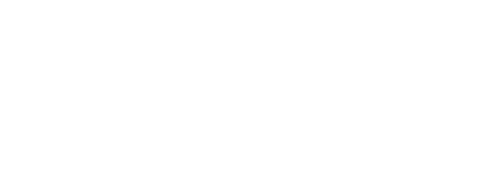 logo breit